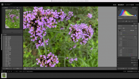 Adobe Lightroom Classic 2024 13.2 for Mac:专业摄影师的数字暗房革新